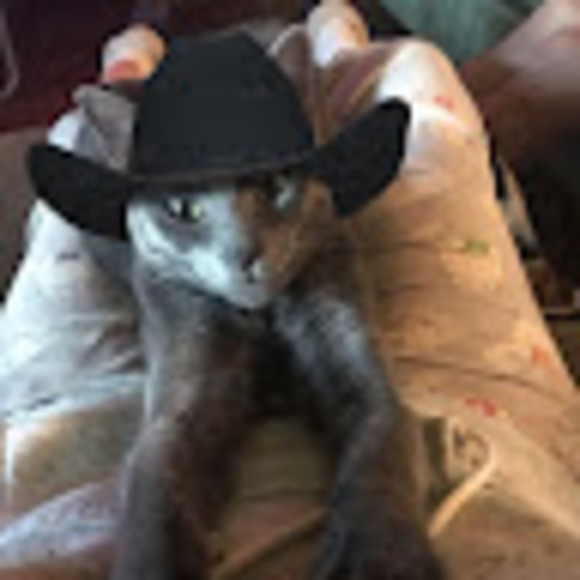 colleencamer437